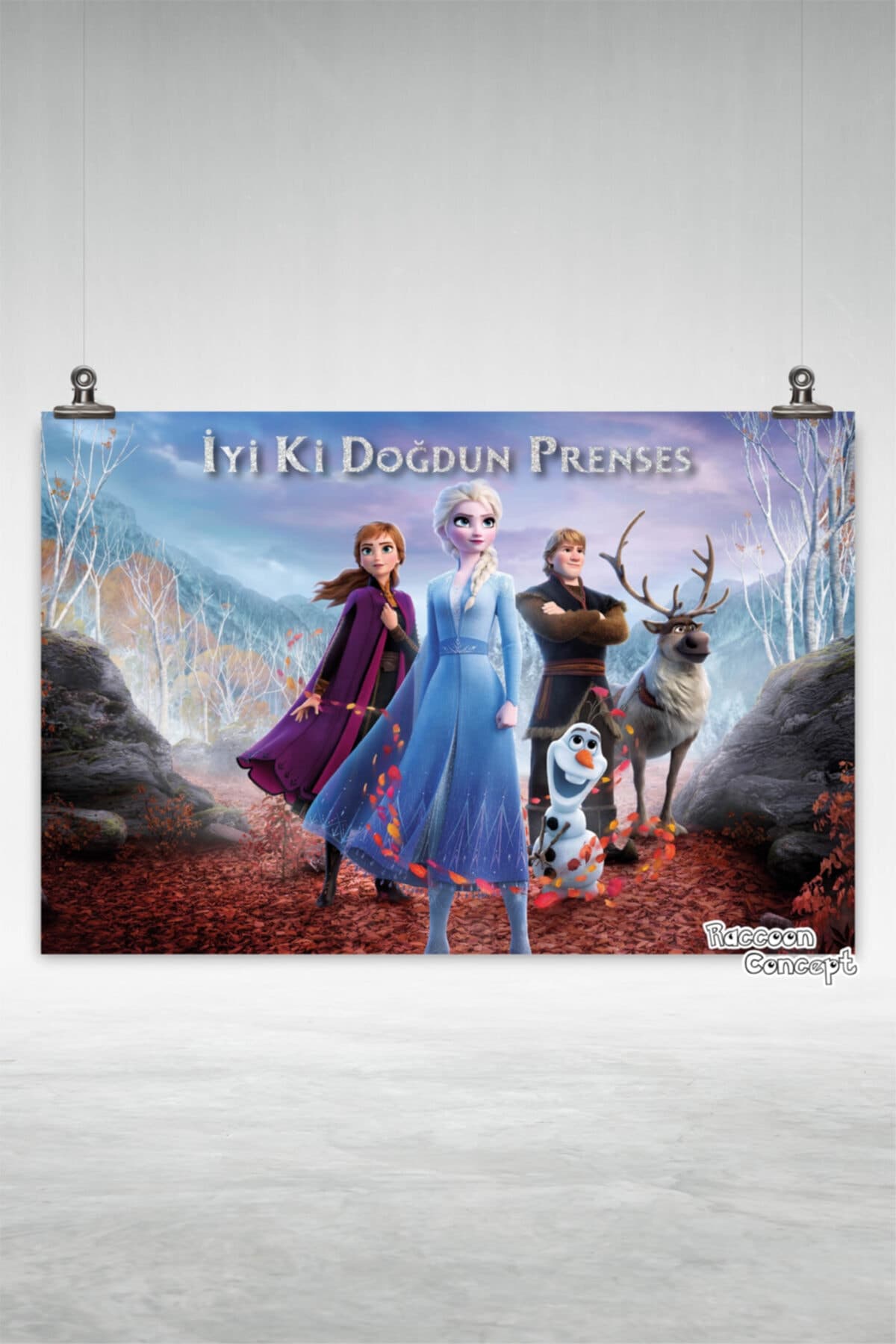 Frozen Doğum Günü Afişi